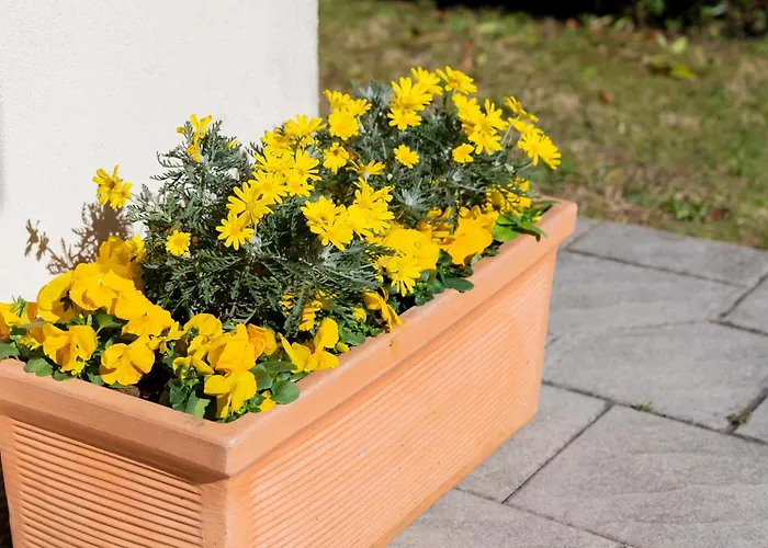 E Giardino